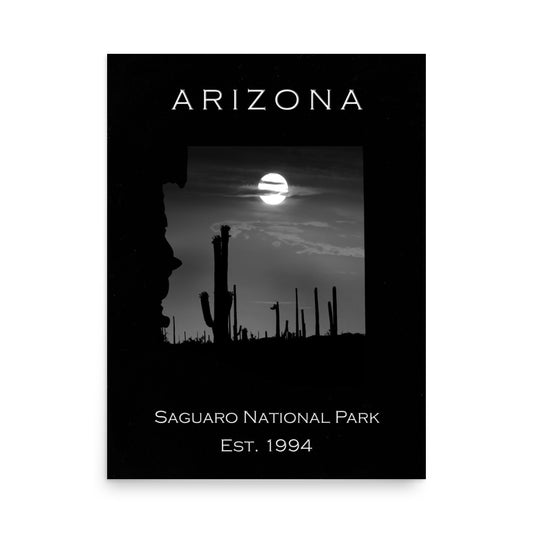 Saguaro National Park - Black - Black and White