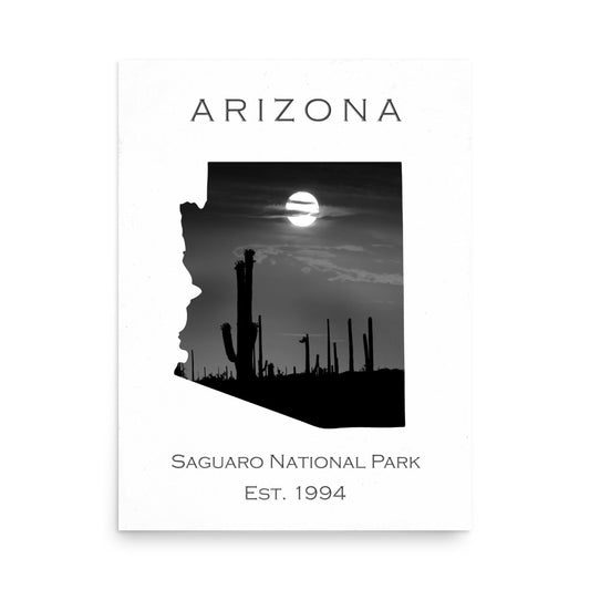 Saguaro National Park - White - Black and White