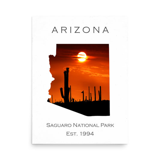 Saguaro National Park - White - Color