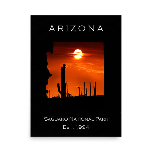 Saguaro National Park - Black - Color